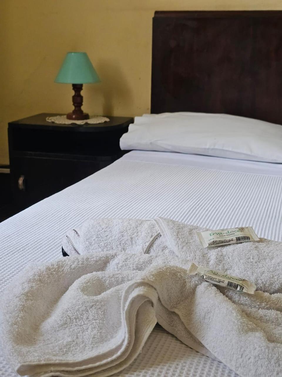 Varzea Palace Hotel Teresopolis Luaran gambar